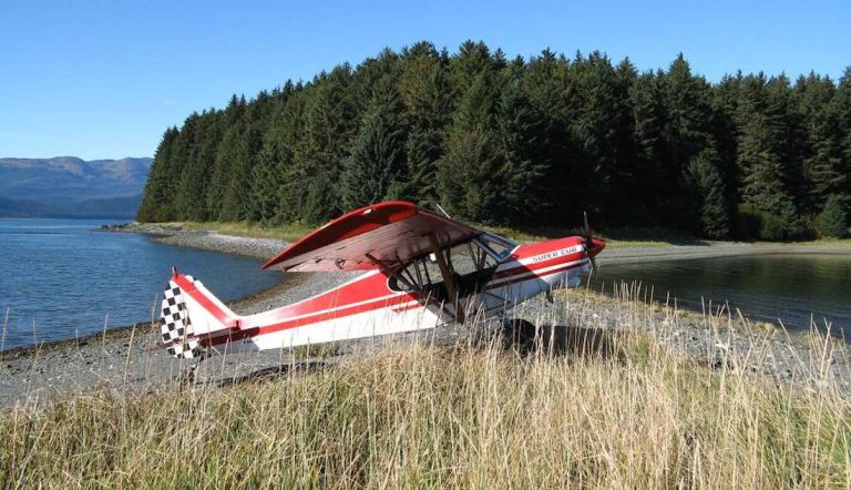 Piper PA-18 Super Cub