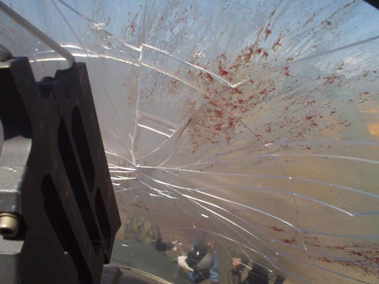 An aircraft canopy after a bird strike
