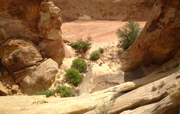 Green vegetation and water in a dry redrock desert canyon 