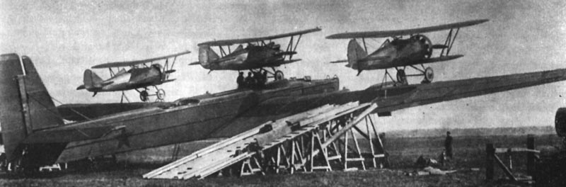 Russian parasite fighters